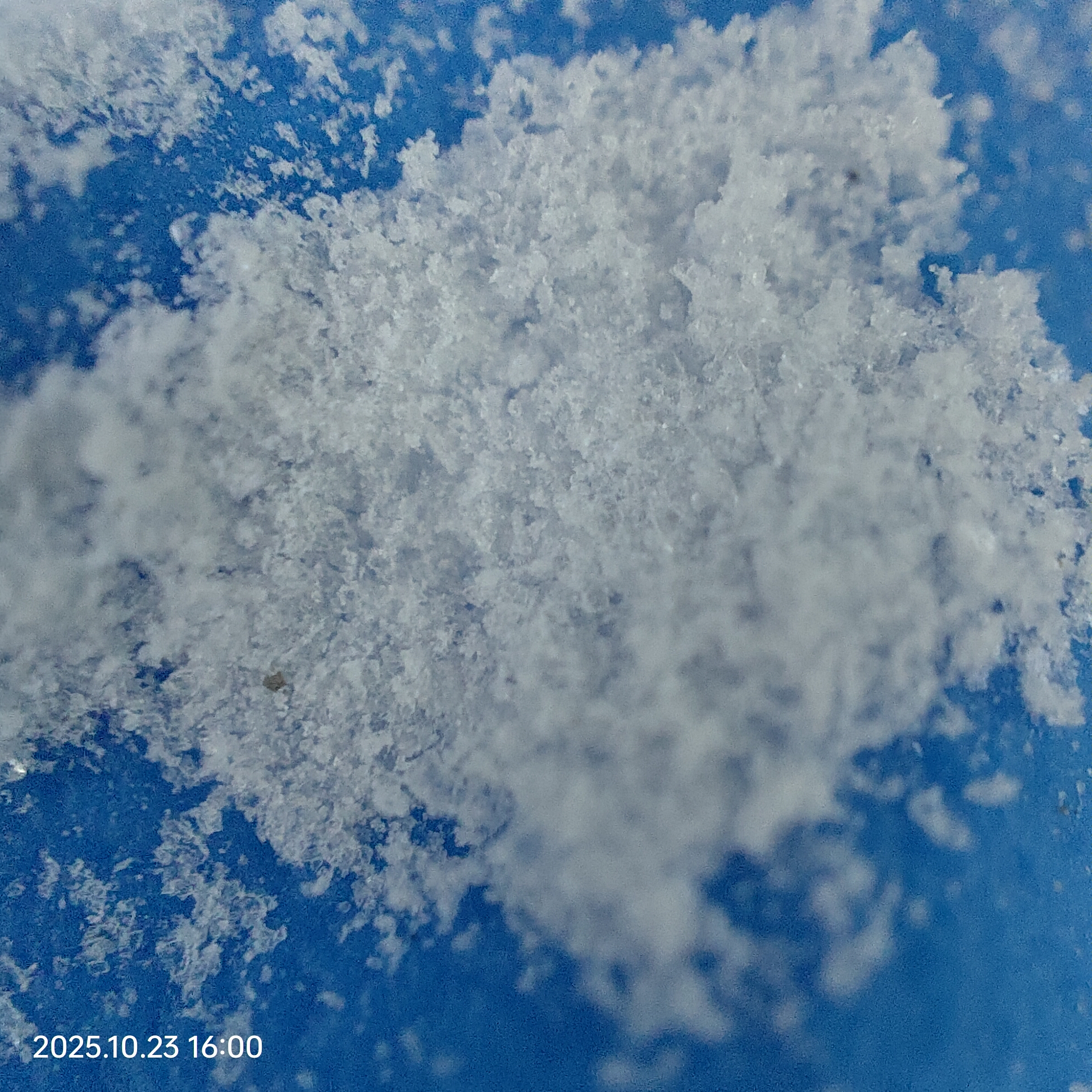 辣椒提取物生产深加工设备工艺流程是什么 辣椒碱提取设备厂家